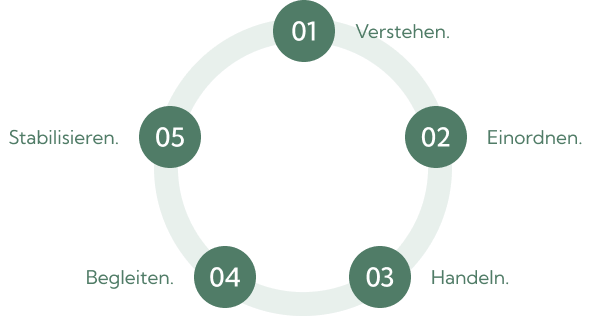 Ein Diagramm, das zeigt, wie zeag seine Kunden in fünf Schritten begleitet